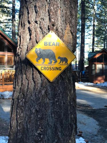 Cedar Pines Resort - photo 24