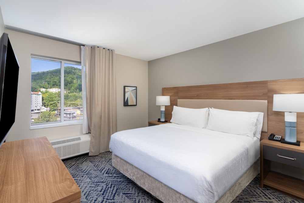 Candlewood Suites Asheville Downtown by IHG - photo 13