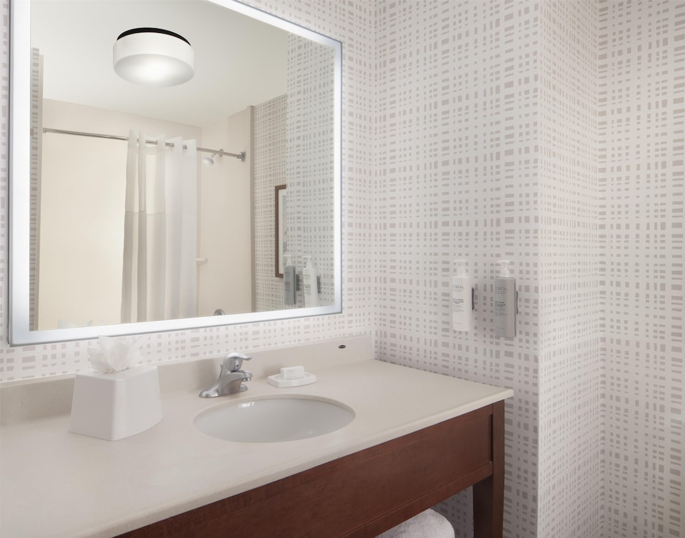 Hampton Inn & Suites Tampa North - photo 35