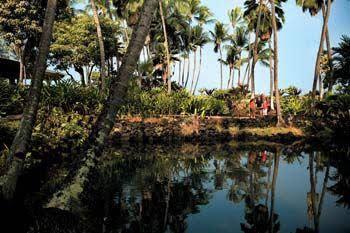 Keauhou Beach Resort - photo 14