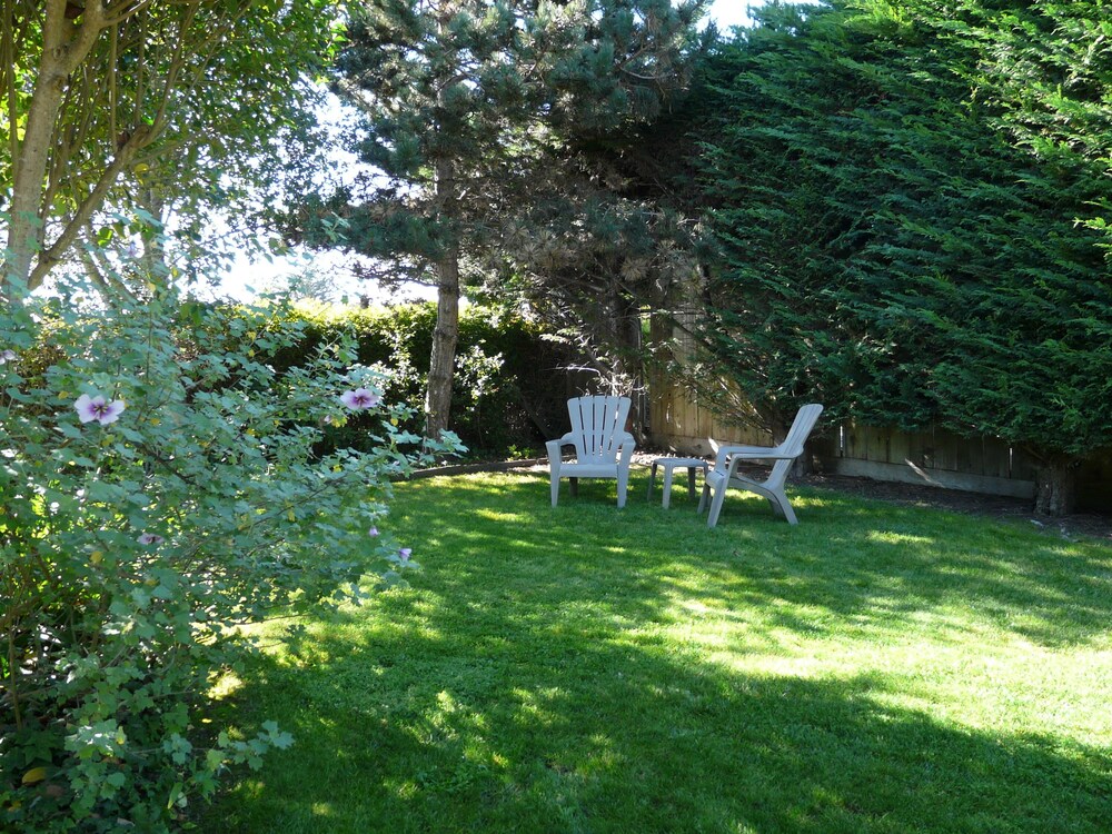 Harbor Inn - photo 21