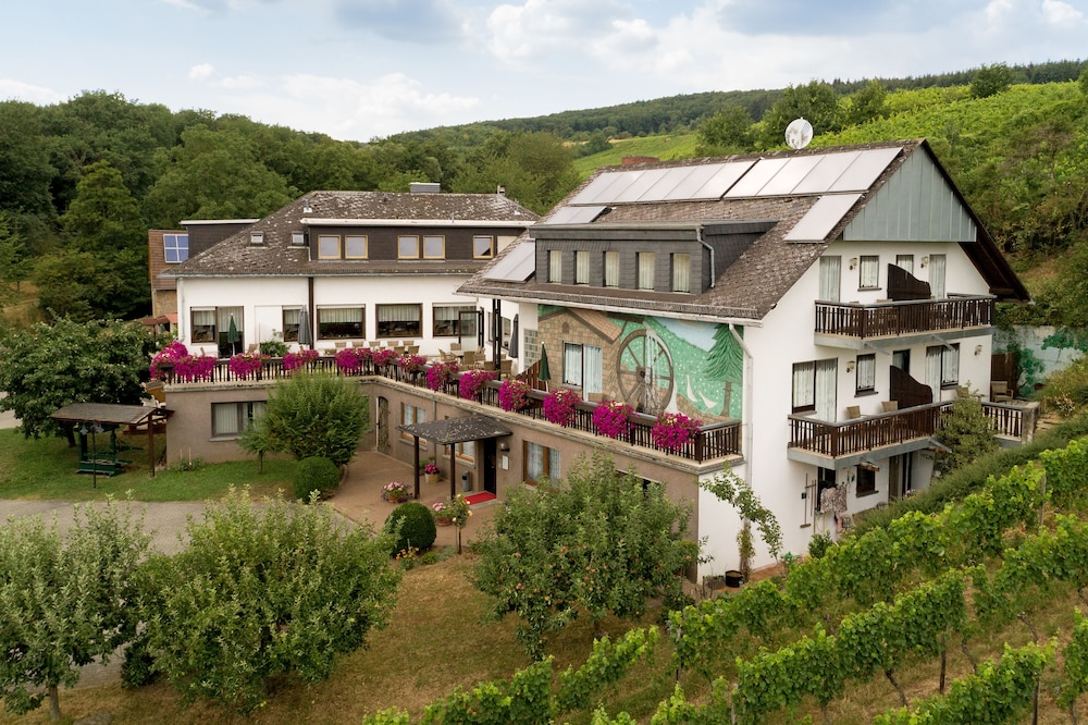 Kühn's Mühle — hotel in Geisenheim
