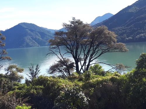 Marlborough Sounds Accommodation - last minute hotel in Unknown City
