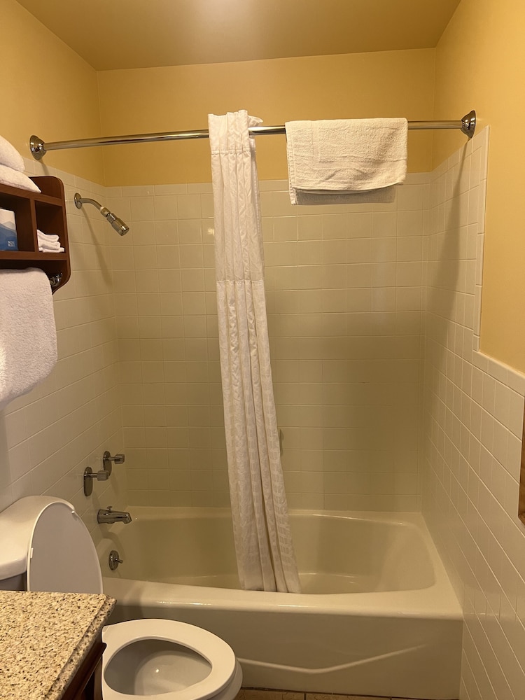 All Star Inn & Suites - photo 332