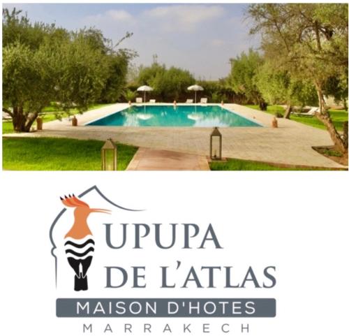 Upupa de l Atlas - last minute hotel in Marrakesh