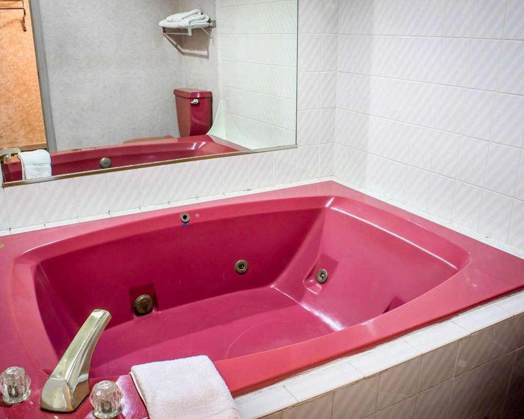 Econo Lodge Inn & Suites Colonie Center Mall - photo 14