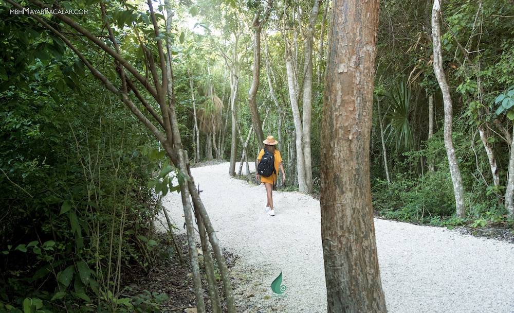Mbh Maya Bacalar