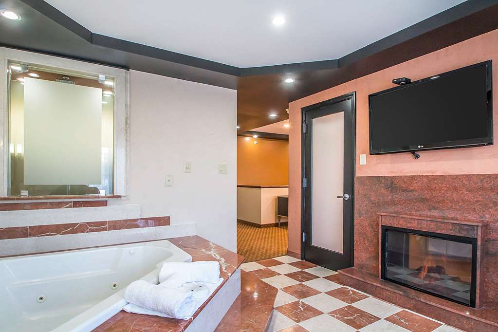 Clarion Inn Elmhurst Oak Brook near I 88 I 290 I 294 - photo 23