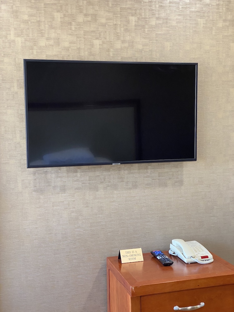 Ritz Inn San Francisco SFO Airport - photo 4