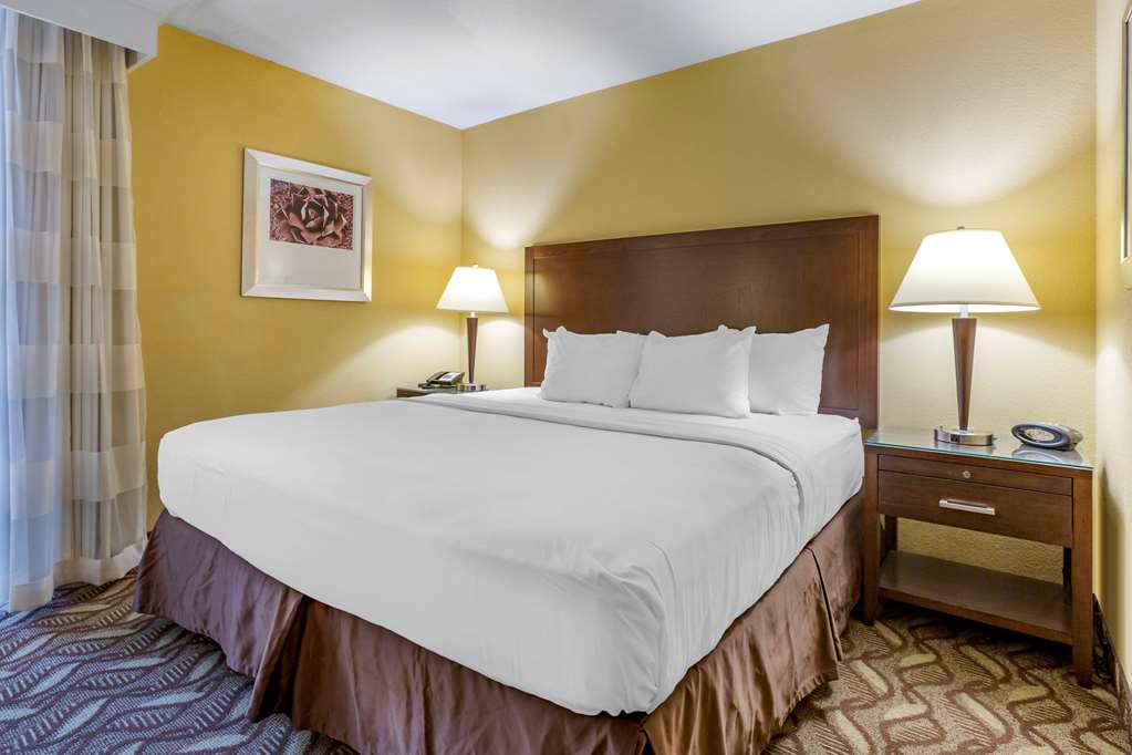 Clarion Inn and Suites Roswell NM - photo 16