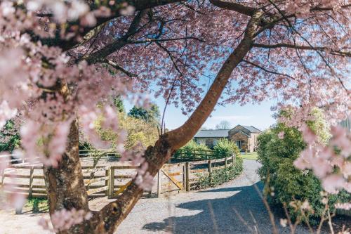Lexington Park Cottages in Cambridge, New Zealand