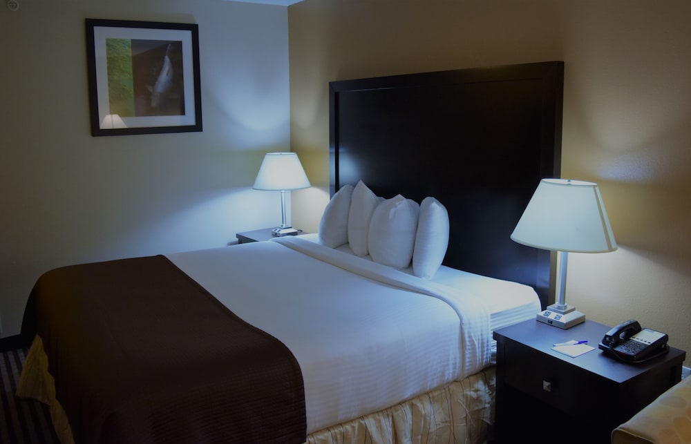 Baymont by Wyndham Dallas Love Field - photo 7