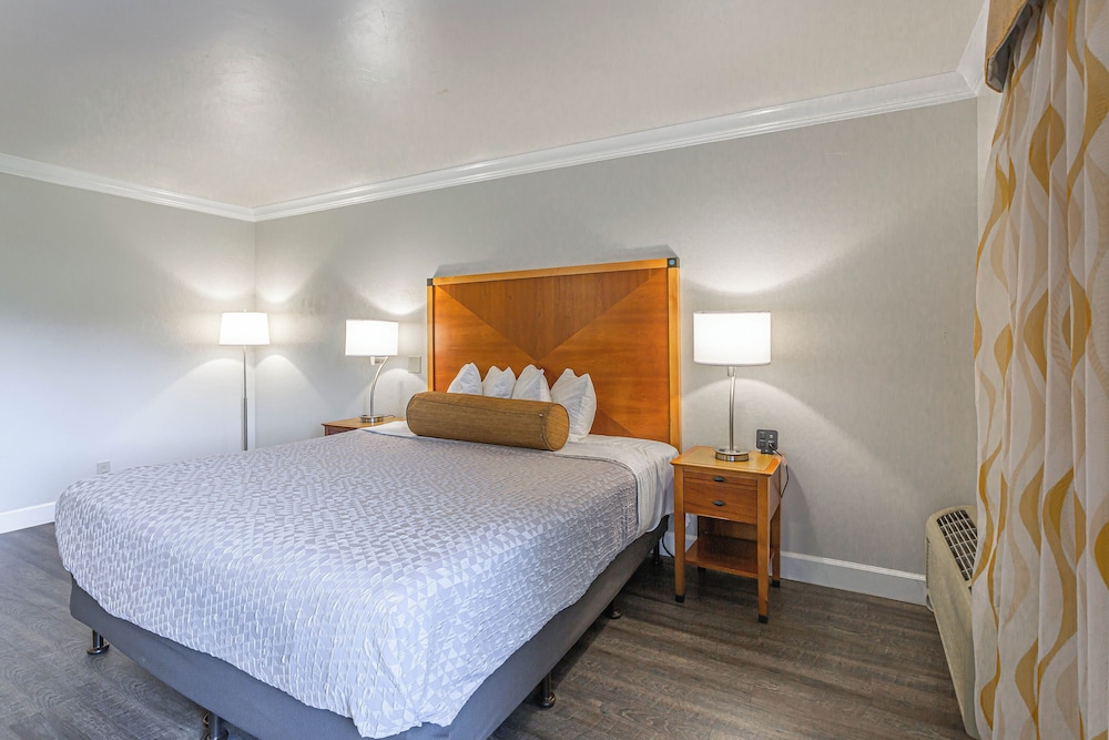 Aloha Inn - photo 6