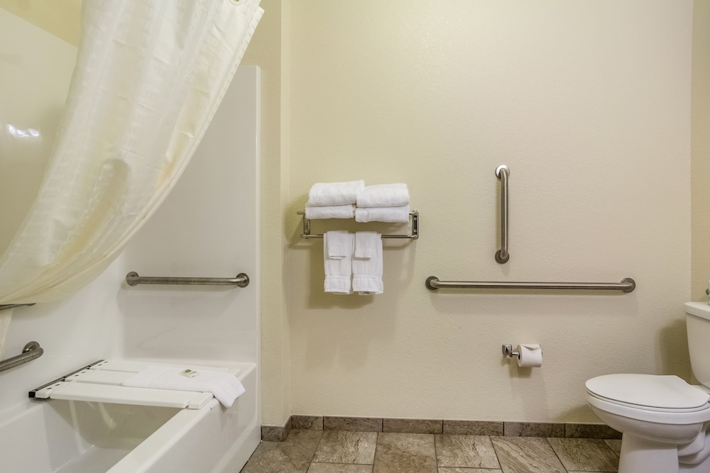 Cobblestone Inn & Suites Altamont - photo 35