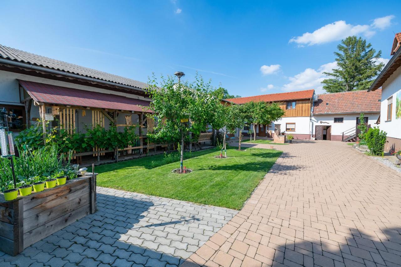 Dorfzeit Fleischhacker — hotel in Apetlon