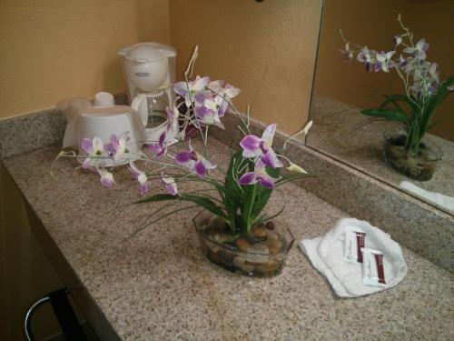 Inn Cheraw - photo 11