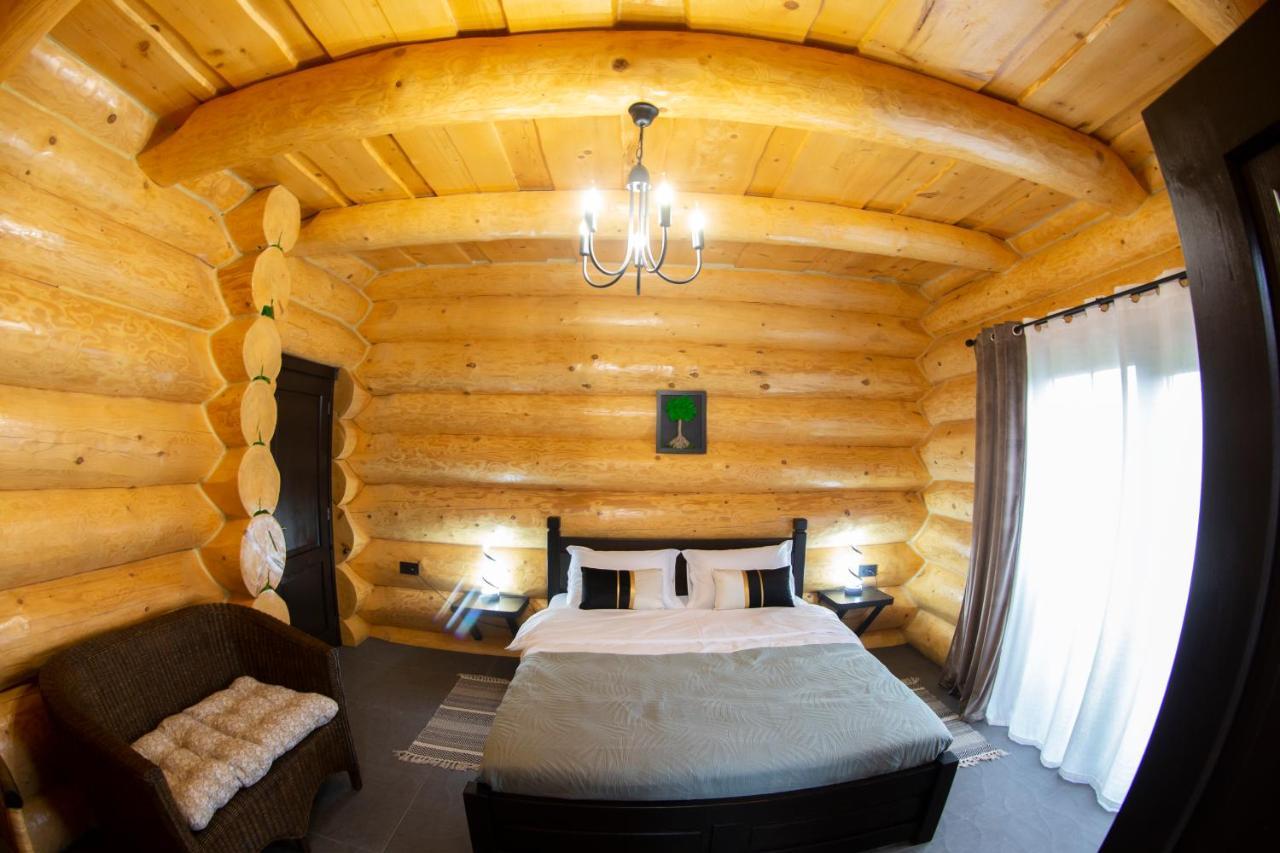 Bucovina Exclusiv — Vama — photo 4