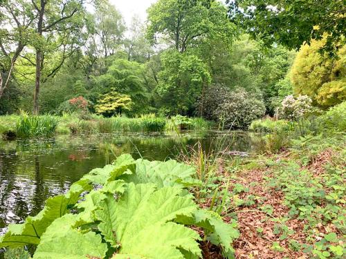 The Loft at Ash Beacon Gorgeous 2 bed hideaway in lovely private grounds in Axminster, United Kingdom