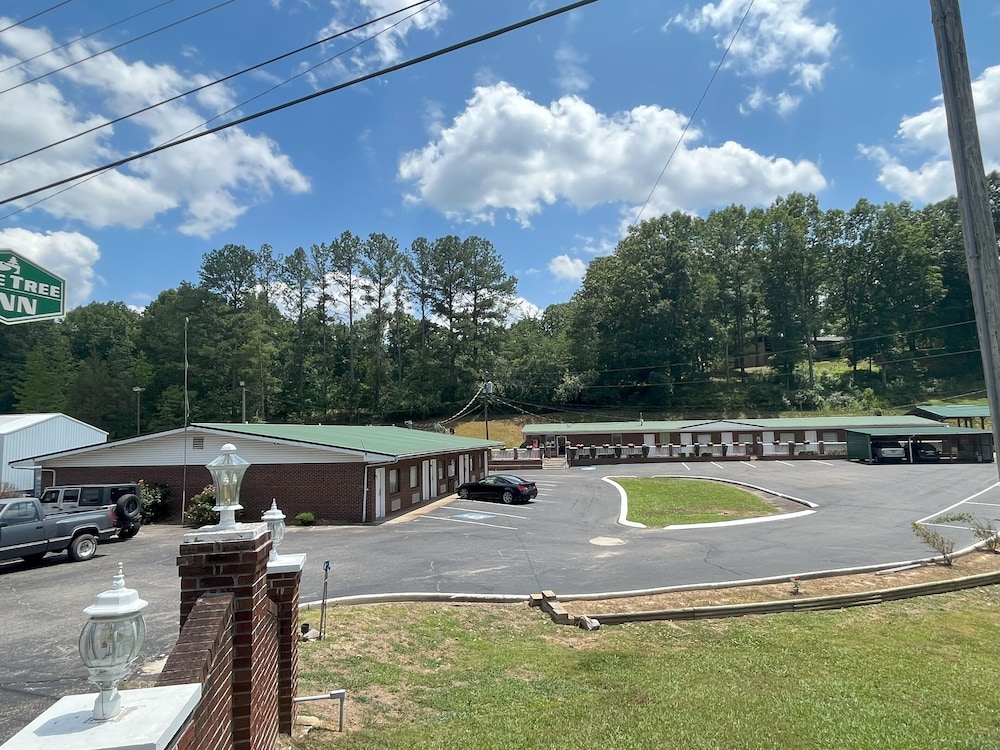 Pine Tree Inn - photo 52