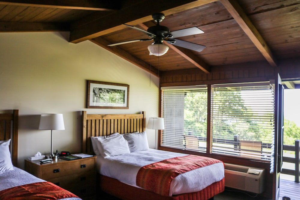 Skyland Resort - photo 5