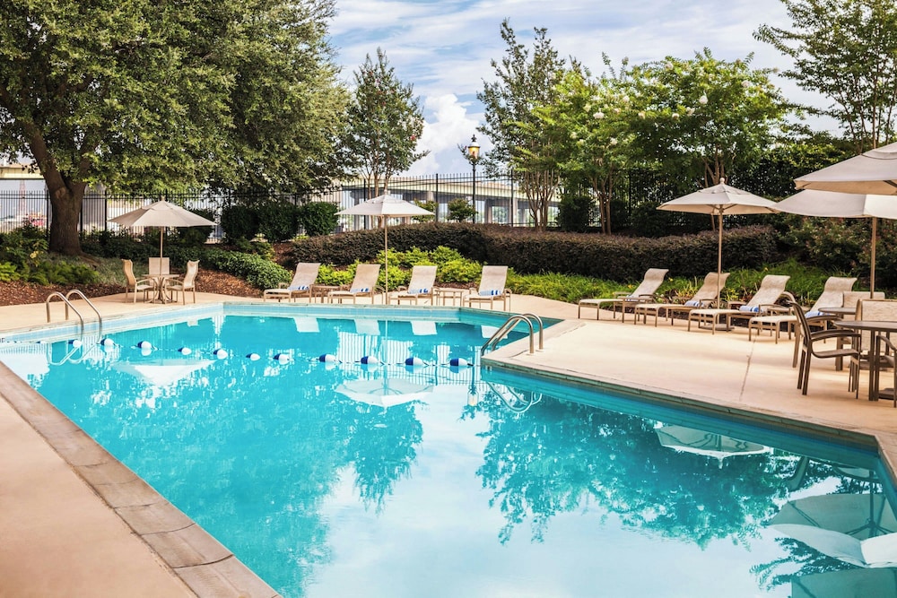 Sheraton Norfolk Waterside Hotel - photo 29