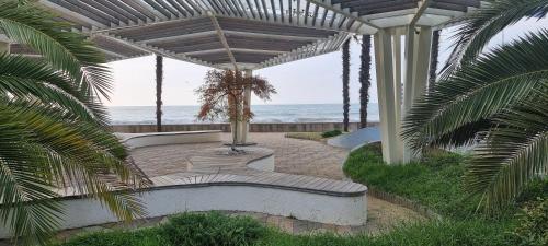 Dreamland Oasis Chakvi