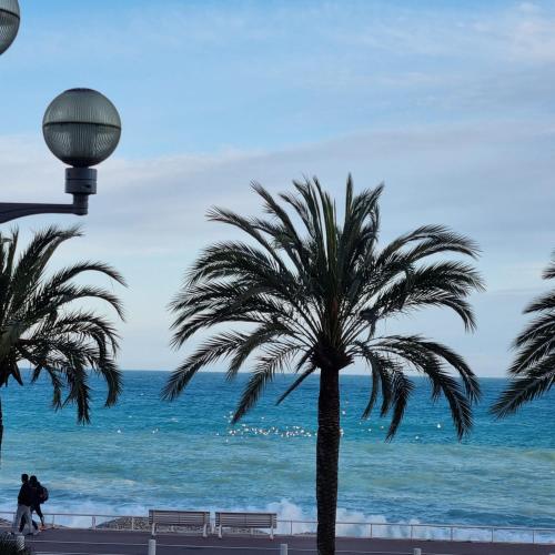 Sunny Days - last minute hotel in Nice