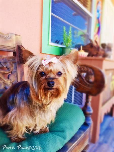Rio Grande Motel - photo 9