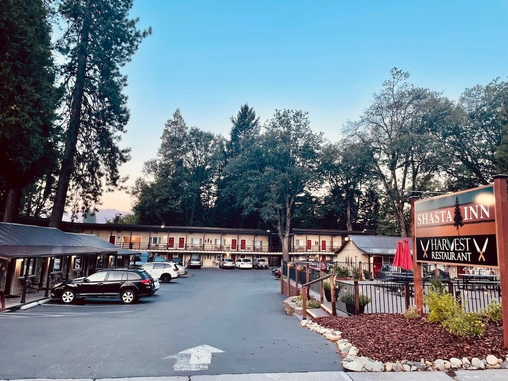 Shasta Inn - photo 17