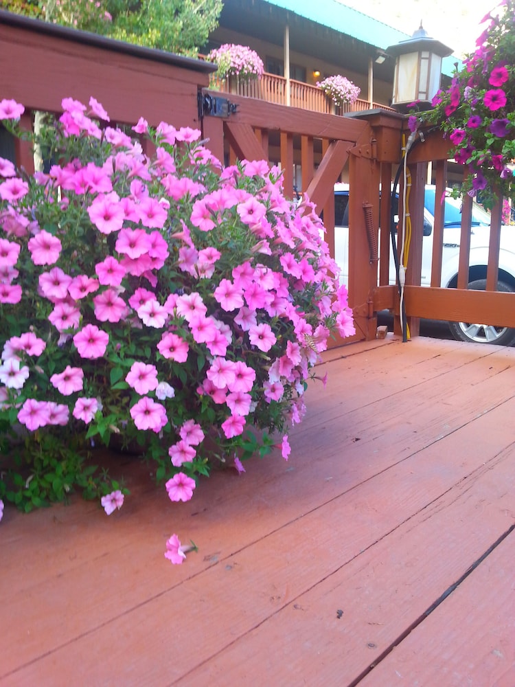 The River's Edge Motel Lodge & Resort - photo 16