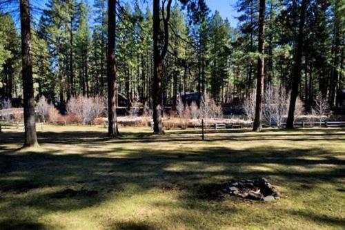 Cold Springs Resort - photo 46