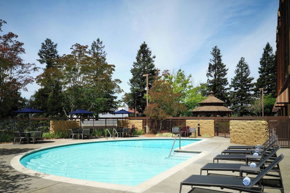 Courtyard by Marriott Santa Rosa - photo 18