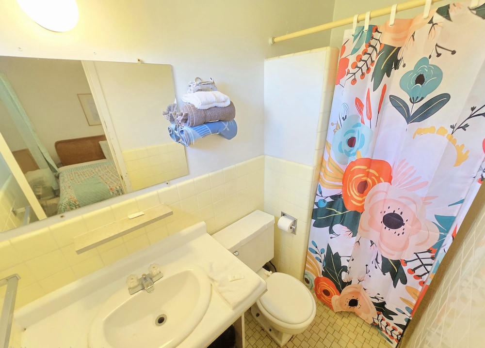 Oyo Sandman Inn - photo 76