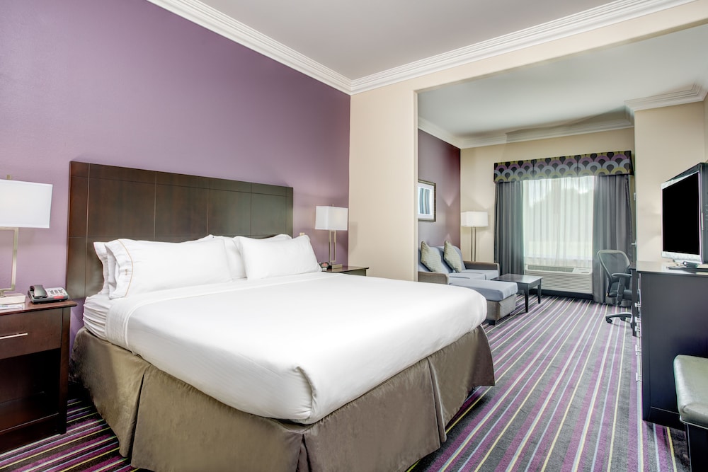 Holiday Inn Express Hotel & Suites Raceland Highway 90 by IHG - photo 13