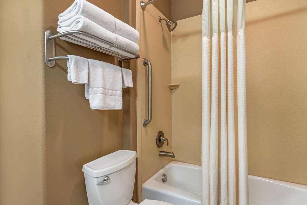 Best Western Plus Lytle Inn & Suites - photo 24