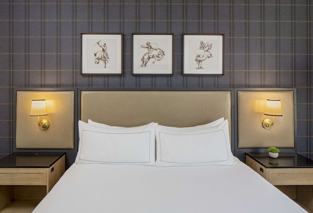 Hilton San Antonio Hill Country - photo 16