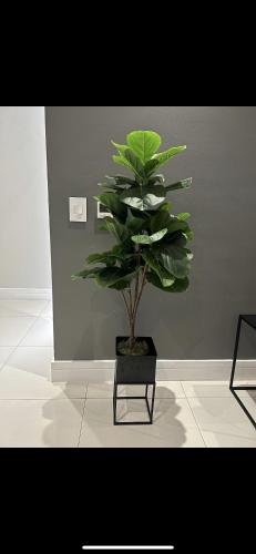 Stylish and Upscale 2 Bed Apt
