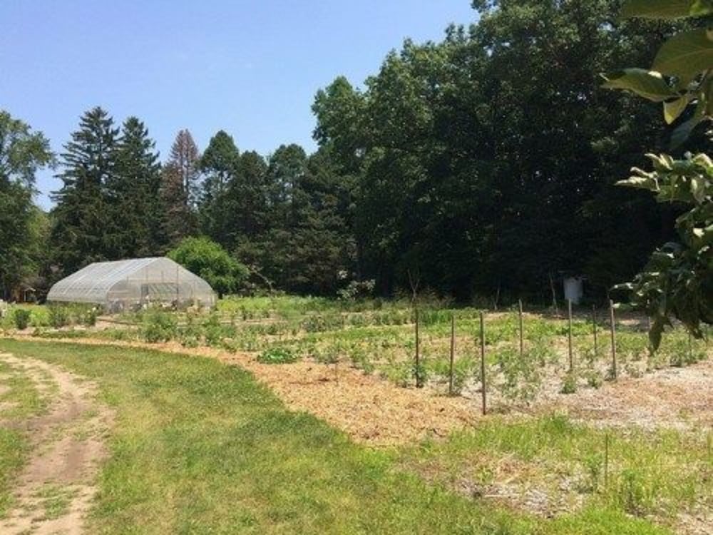Goldberry Woods - photo 165