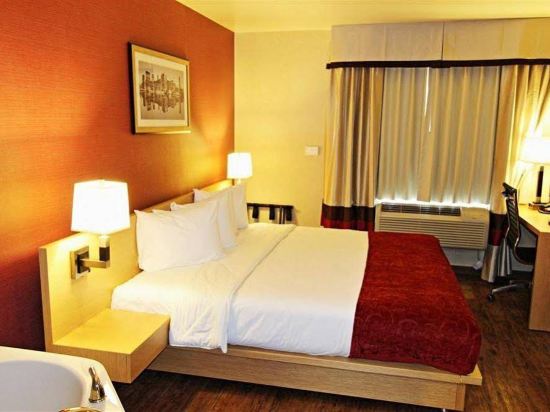 Hotel Lynx - photo 7