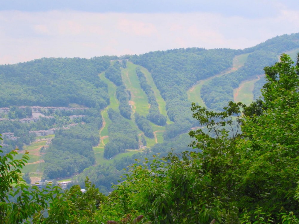 Mountainside Villas at Massanutten by Tripforth - photo 44