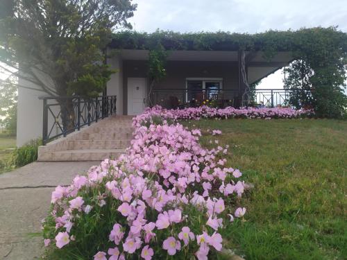 Hill View 4 — Alexandroupoli — photo 2