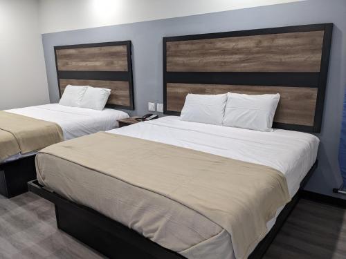 Captain Suites - photo 4
