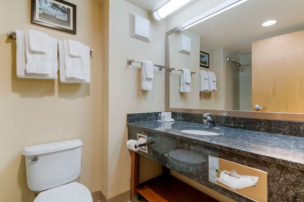 Comfort Inn Mechanicsburg Harrisburg South - photo 18