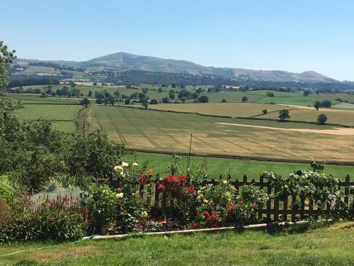 The View — hotel in Welshpool