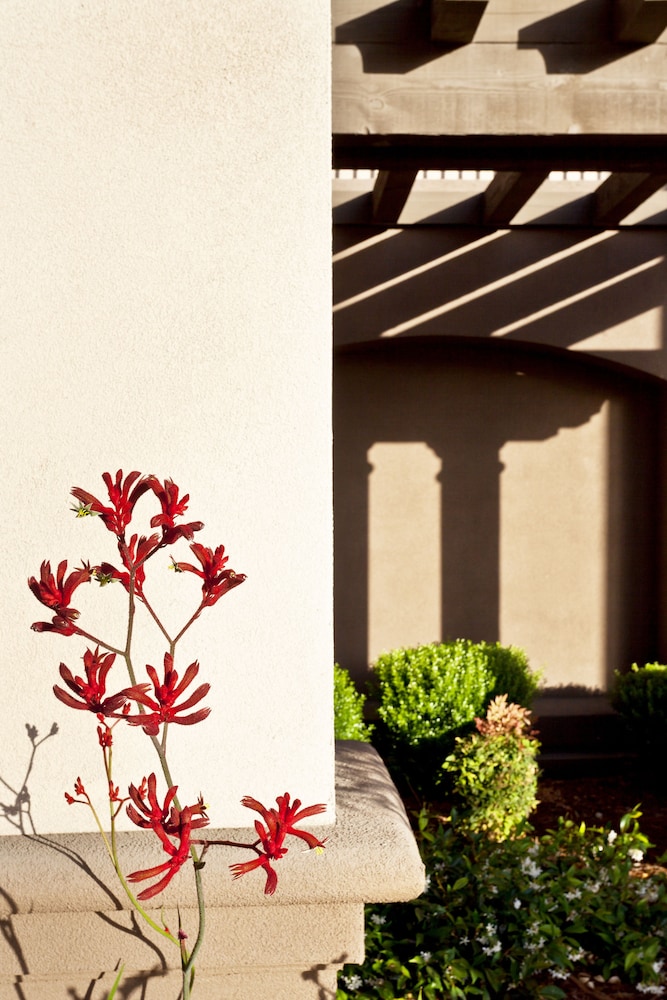 Hampton Inn & Suites Arroyo Grande Pismo Beach Area CA - photo 35
