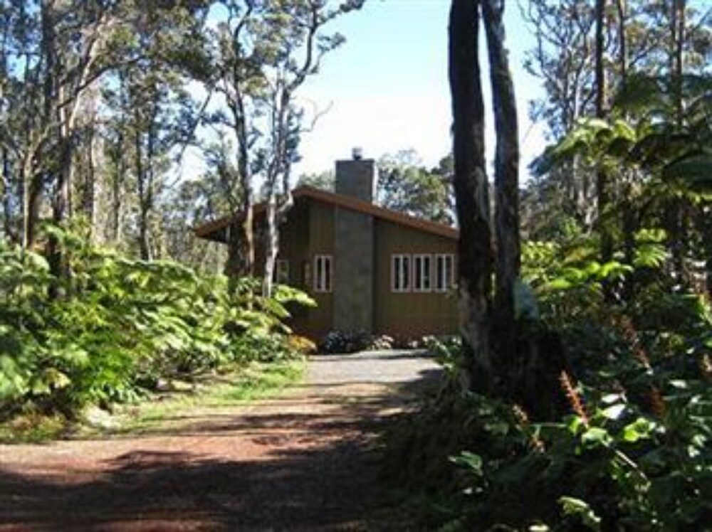 Volcano Singing Forest Cottage — Volcano — photo 3