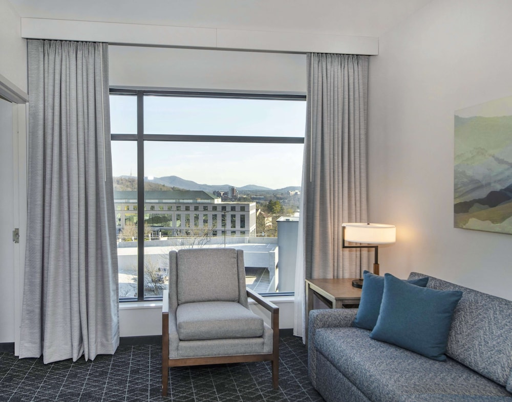 Embassy Suites By Hilton Asheville Downtown - photo 23