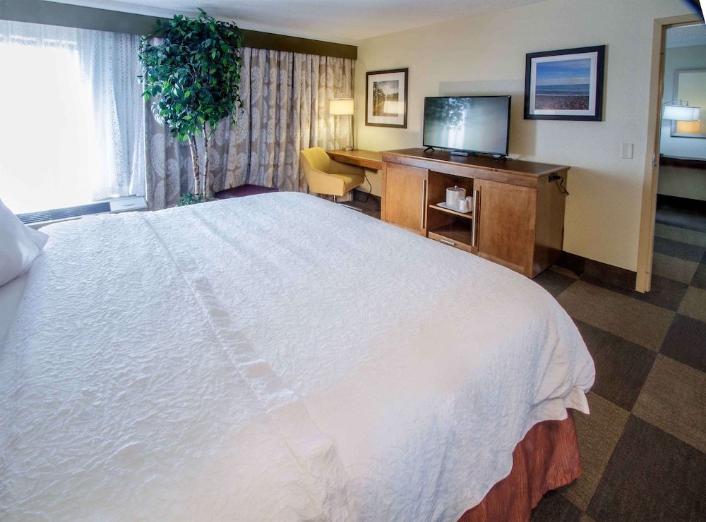 Hampton Inn South Haven - photo 12
