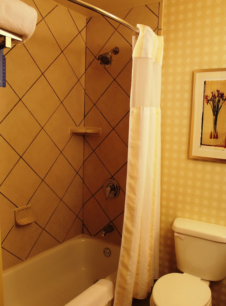 Hilton Garden Inn Starkville - photo 62