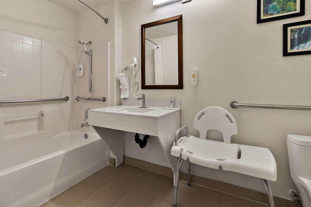 Comfort Inn & Suites Sequoia Kings Canyon - photo 30